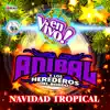 Anibal y los Herederos del Bordo - Navidad Tropical. Música de Guatemala para los Latinos (En Vivo)